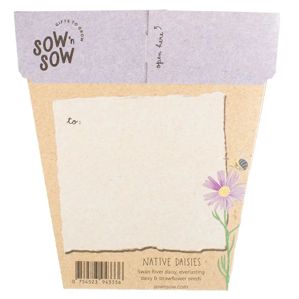 Gift Of Seeds - Native Daisy – Spirit Bird The Label